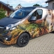 Van